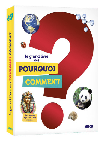 LE GRAND LIVRE DES POURQUOI COMMENT - Patrick David - AUZOU