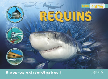 Requins - Michael Bright - FLEURUS