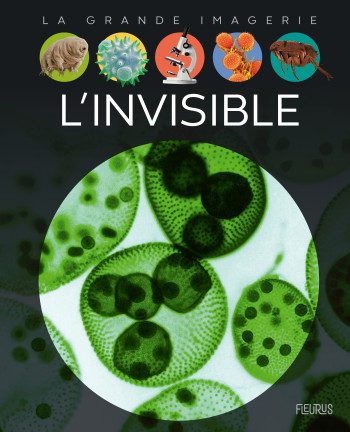 L'invisible - Christine Sagnier - FLEURUS