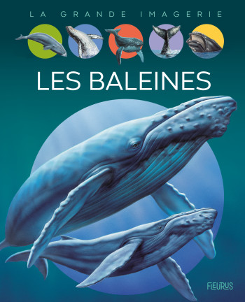 Les baleines - Agnès Vandewiele - FLEURUS