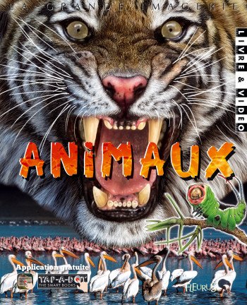 Animaux -  Collectif - FLEURUS