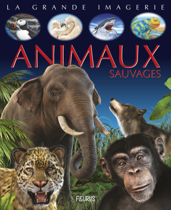 Animaux sauvages -  Collectif - FLEURUS