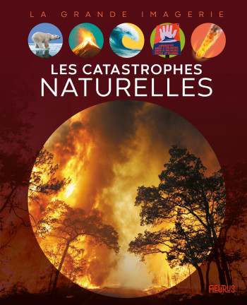 Les catastrophes naturelles - Cathy Franco - FLEURUS