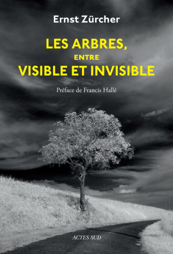 Les Arbres, entre visible et invisible - Ernst Zürcher - ACTES SUD