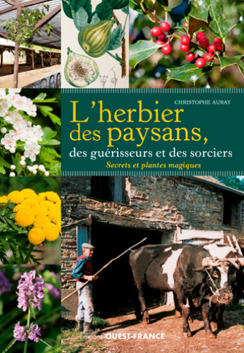 L'herbier des paysans, des guérisseurs et des sorciers - Christophe Auray - OUEST FRANCE