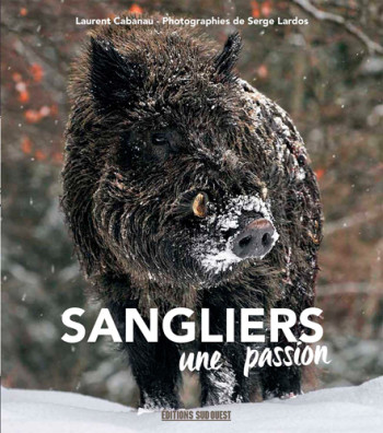 Sanglier, Une Passion -  CABANAU Laurent - SUD OUEST