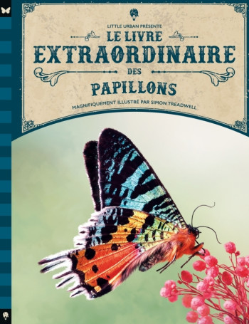 Le livre extraordinaire des papillons -  Taylor Barbara - LITTLE URBAN