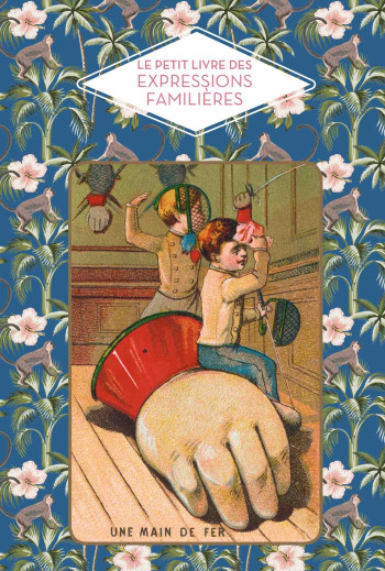 LE PETIT LIVRE DES EXPRESSIONS FAMILIERES - Dominique Foufelle - HACHETTE PRAT LE PETIT LIVRE DES EXPRESSIONS FAMILIERES - Dominique Foufelle - HACHETTE PRAT