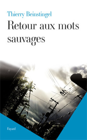 Retour aux mots sauvages - Thierry Beinstingel - FAYARD