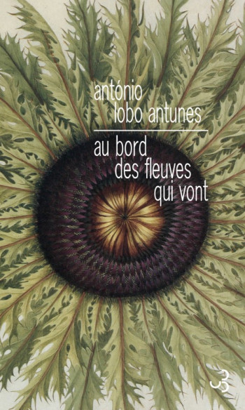 Au bord des fleuves qui vont - António Lobo Antunes - BOURGOIS