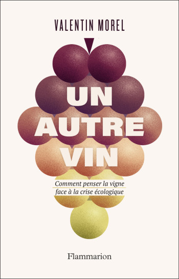 Un autre vin - Valentin Morel - FLAMMARION