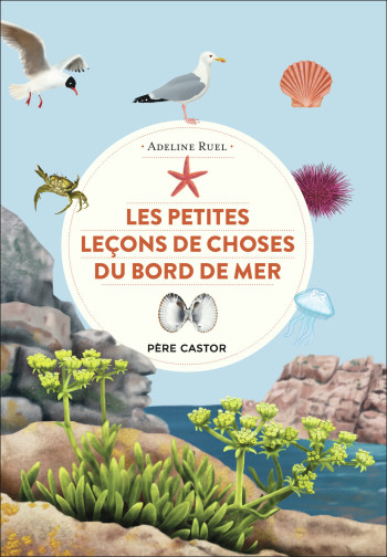 Les petites leçons de choses du bord de mer - Adeline Ruel - PERE CASTOR