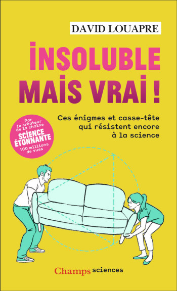 Insoluble mais vrai ! - David Louapre - FLAMMARION