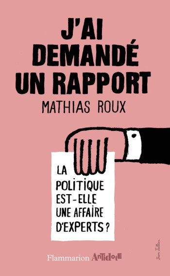 J'ai demandé un rapport - Mathias Roux - FLAMMARION