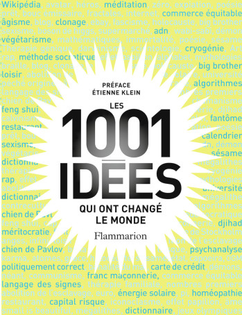 Les 1001 idées -  Collectif - FLAMMARION