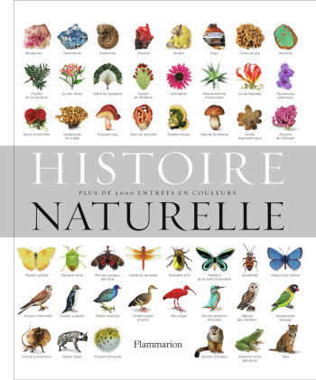 Histoire naturelle - Collectif - FLAMMARION Histoire naturelle - Collectif - FLAMMARION