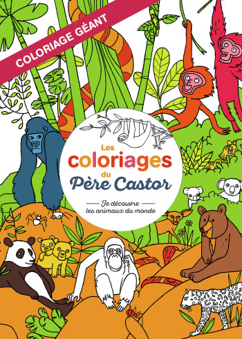 Les coloriages du Père Castor - Sébastien Pelon - PERE CASTOR