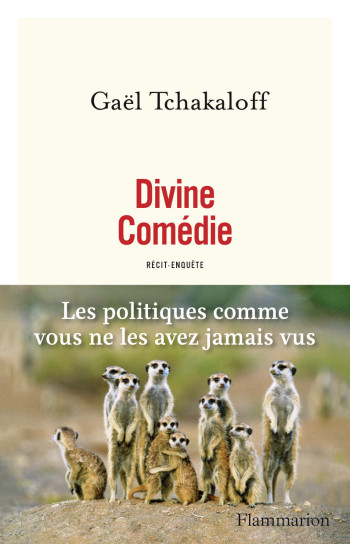 Divine Comédie - Gaël Tchakaloff - FLAMMARION