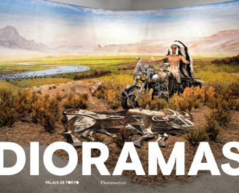 Dioramas -  Collectif - FLAMMARION