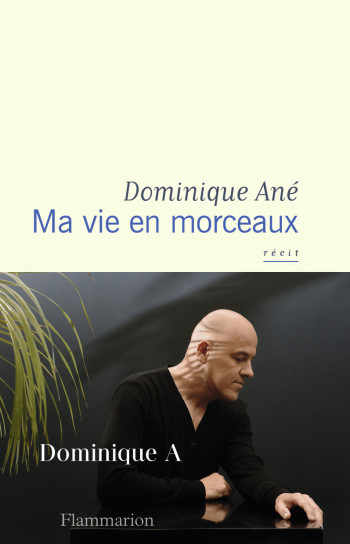 Ma vie en morceaux - Dominique Ané - FLAMMARION