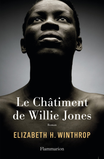 Le Châtiment de Willie Jones - Elizabeth H. Winthrop - FLAMMARION