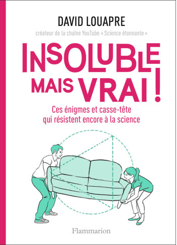 Insoluble mais vrai ! - David Louapre - FLAMMARION