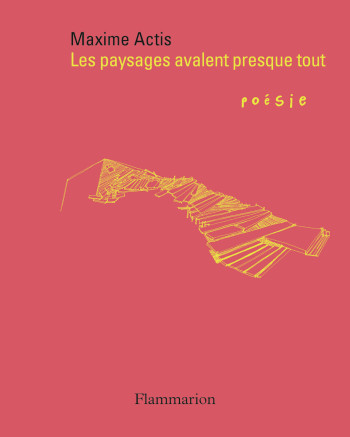 Les paysages avalent presque tout - Maxime Actis - FLAMMARION