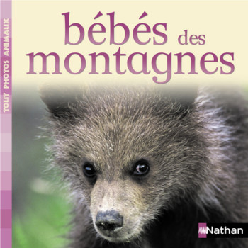 BEBES DES MONTAGNES -  Collectif - NATHAN