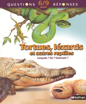 TORTUES LEZARDS AUTRES REPTILE - Amanda O'Neill - NATHAN