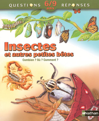 INSECTES ET AUTRES PTES BETES - Amanda O'Neill - NATHAN