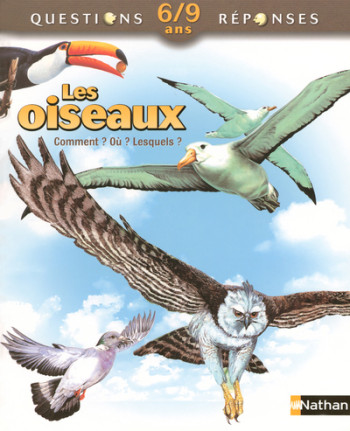 OISEAUX - Amanda O'Neill - NATHAN