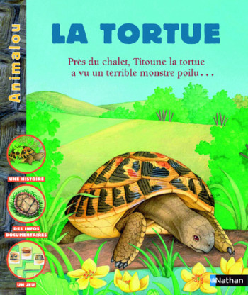 TORTUE - Michel Piquemal - NATHAN