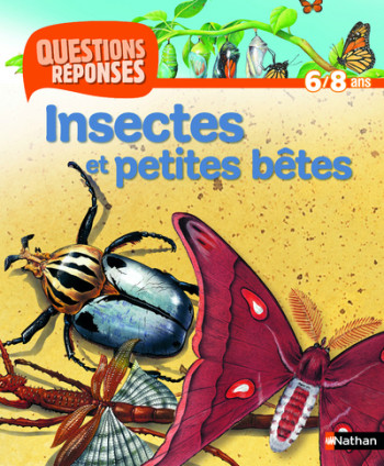 N11 - INSECTES ET PETITES BETES - QUESTIONS/REPONSES 6/8 ANS - Amanda O'Neill - NATHAN