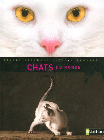 CHATS DU MONDE - Gloria Stephens - NATHAN