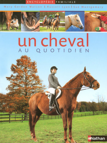 UN CHEVAL AU QUOTIDIEN NC - Mary Gordon-Watson - NATHAN