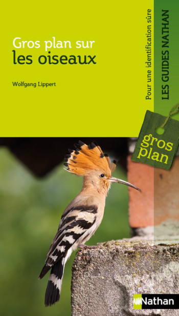 Gros plan sur les oiseaux - Wolfgang Lippert - NATHAN