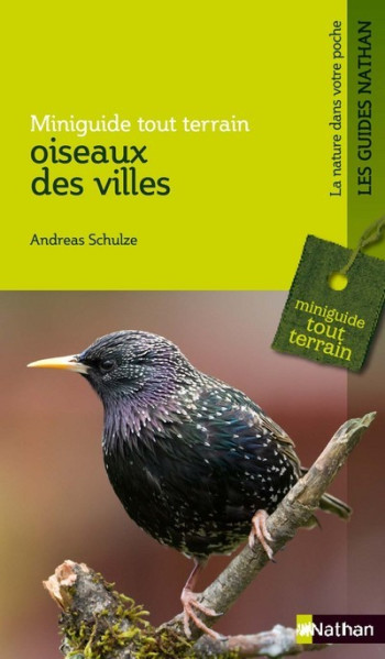 Miniguide tout terrain: oiseaux des villes - Andreas Schulze - NATHAN