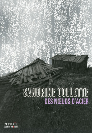 Des noeuds d'acier - Sandrine Collette - DENOEL