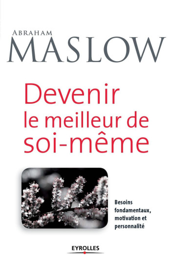 Devenir le meilleur de soi - Abraham Harold Maslow - ORGANISATION