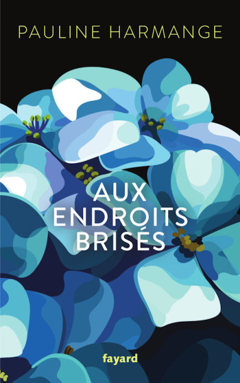 Aux endroits brisés - Pauline Harmange - FAYARD