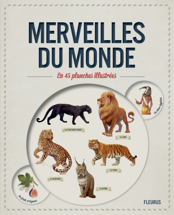 MERVEILLES DU MONDE EN 45 PLANCHES ILLUSTREES - Paul Beaupère - FLEURUS