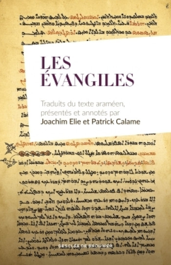 Les Évangiles - Patrick Calame - DDB Les Évangiles - Patrick Calame - DDB
