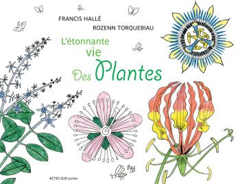 L'étonnante vie des plantes - Rozenn Torquebiau, Francis Hallé, Rozenn Torquebiau, Francis Hallé - ACTES SUD L'étonnante vie des plantes - Rozenn Torquebiau, Francis Hallé, Rozenn Torquebiau, Francis Hallé - ACTES SUD