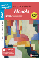 Alcools - apollinaire