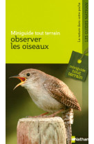 Observer les oiseaux