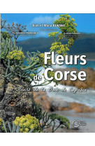 Fleurs de corse