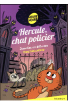 Hercule, chat policier t.3 : jumelles en detresse