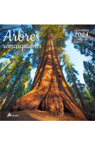 Calendrier arbres remarquables 2024