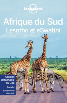 Afrique du sud, lesotho et swaziland (11e edition)