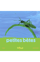 Petite histoire de petites betes